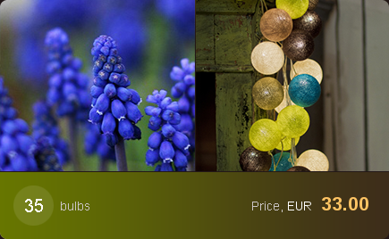 en_05_eur.png
